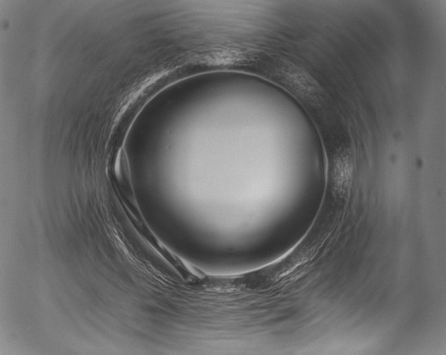 X0000054430540200508011400