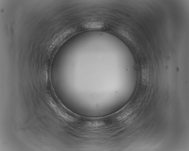 X0000054430541200508011400