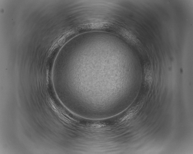 X0000054430542200508011400