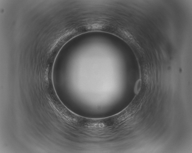 X0000054430543200508011400