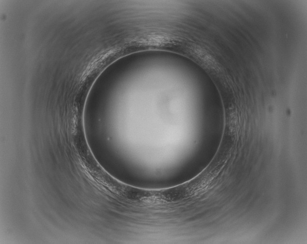 X0000054430544200508011400