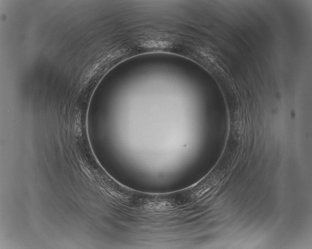 X0000054430547200508011400