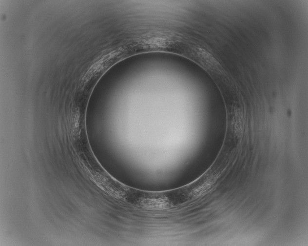X0000054430548200508011400