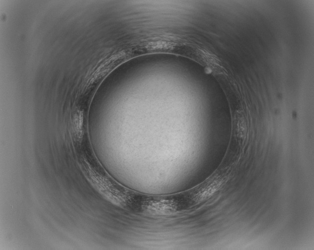 X0000054430550200508011400