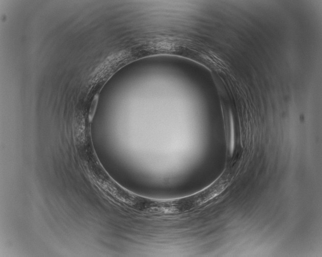 X0000054430552200508011400