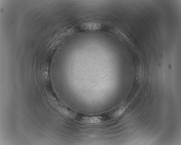 X0000054430553200508011400