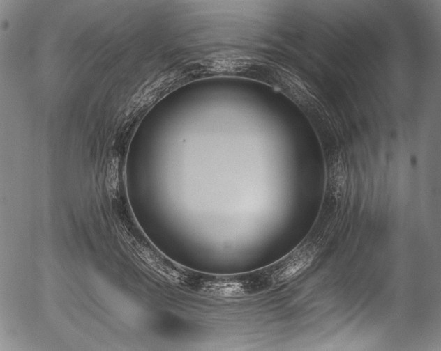 X0000054430554200508011400