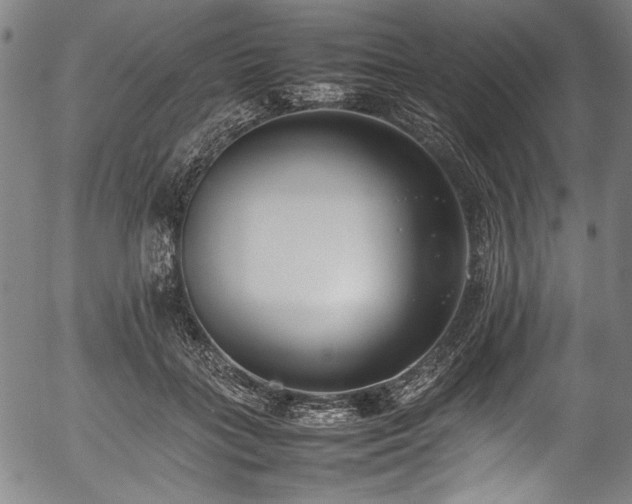 X0000054430555200508011400