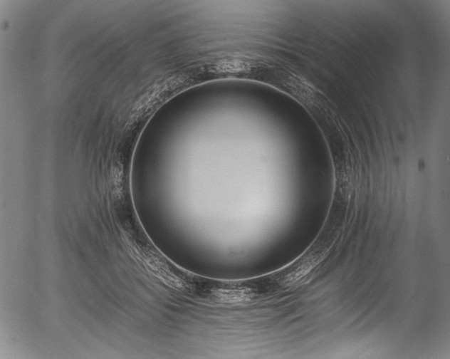 X0000054430556200508011400