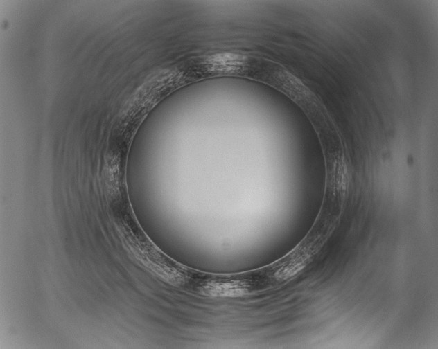 X0000054430557200508011400