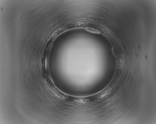 X0000054430558200508011400