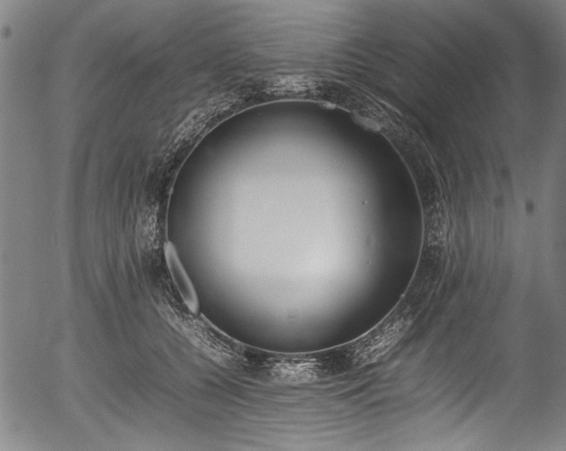 X0000054430560200508011400