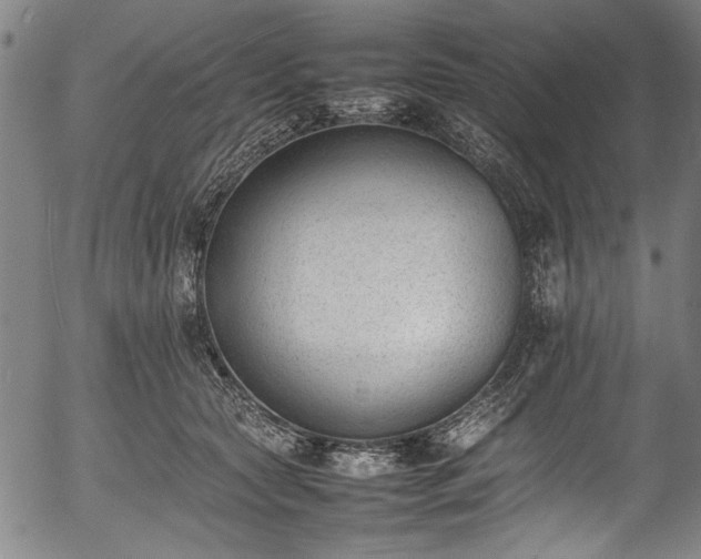 X0000054430561200508011400