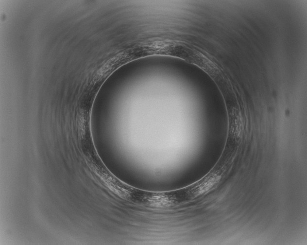 X0000054430562200508011400