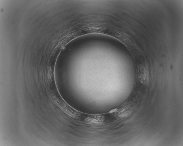 X0000054430563200508011400