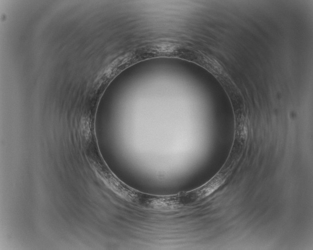 X0000054430568200508011400