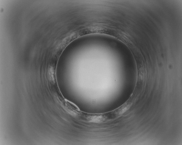 X0000054430575200508011401