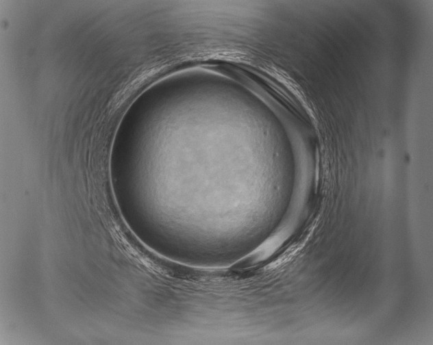 X0000054430577200508011400