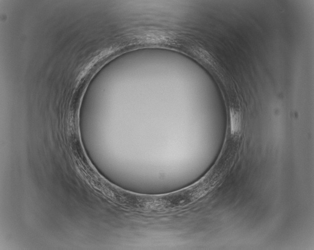 X0000054430579200508011400