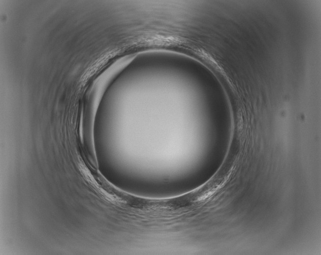 X0000054430581200508011400