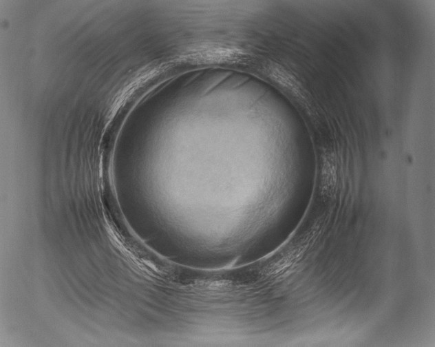 X0000054430582200508011400