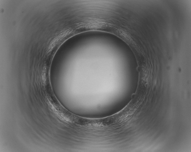 X0000054430586200508011400