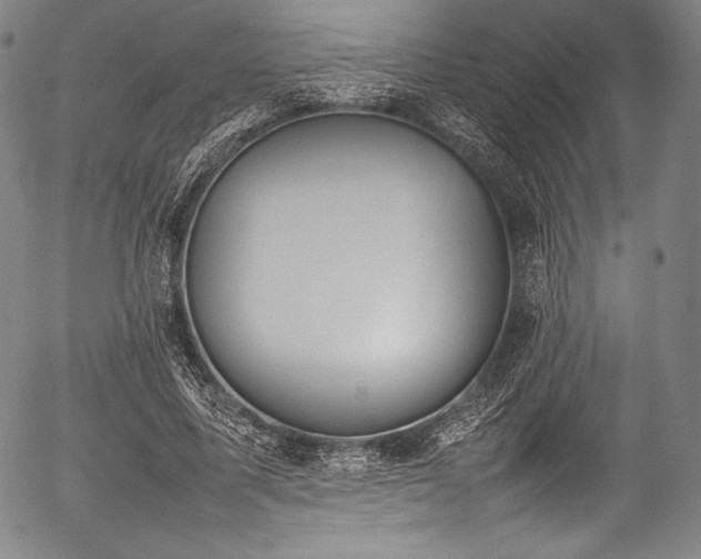 X0000054430587200508011400