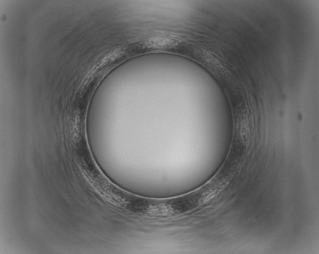 X0000054430591200508011359