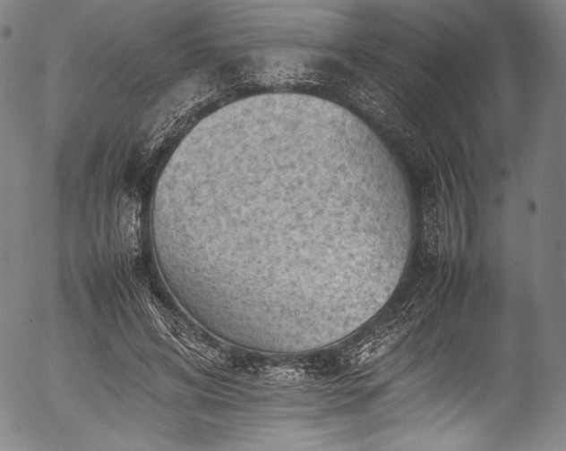 X0000054430592200508011359