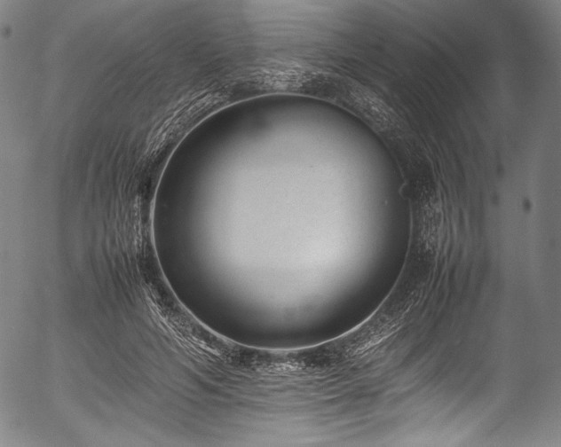 X0000054430594200508011359