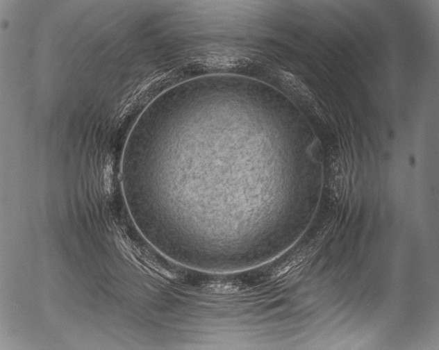 X0000054430596200508011359