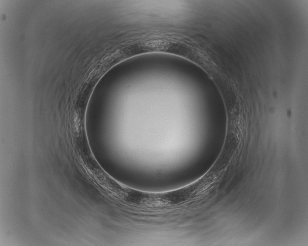 X0000054430597200508011359