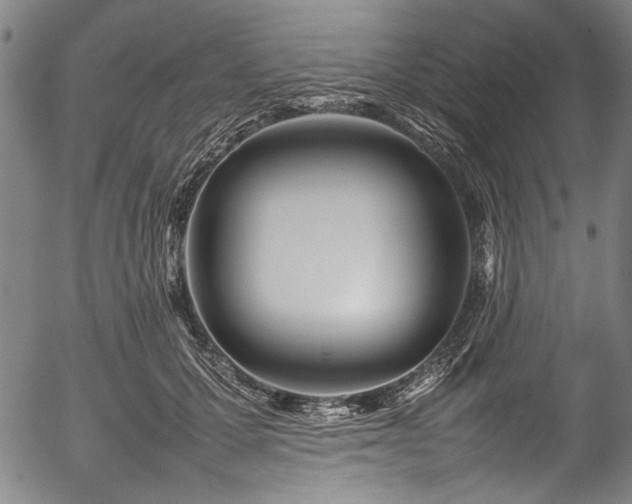 X0000054430607200508011359