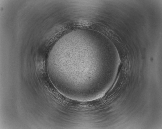 X0000054430608200508011359