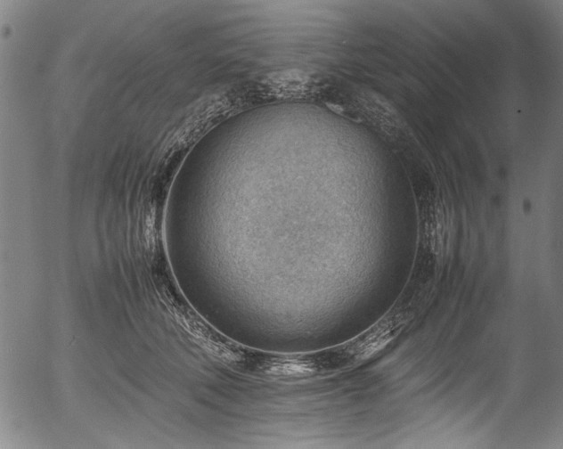 X0000054430610200508011359