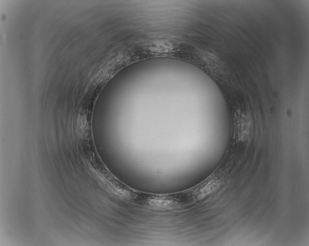 X0000054430614200508011359
