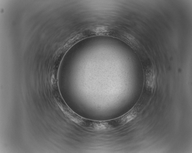 X0000054430618200508011359