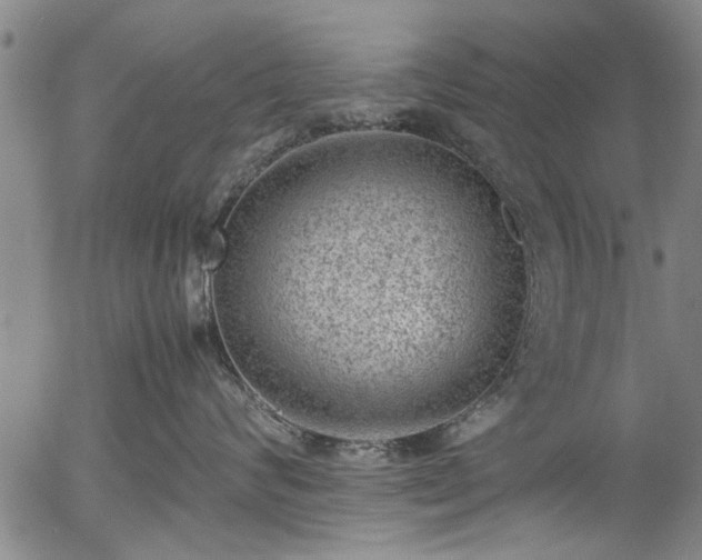 X0000054430624200508011359