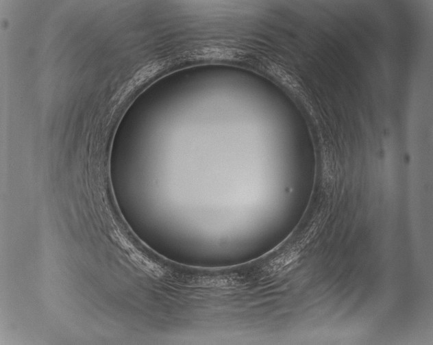 X0000054430625200508011358