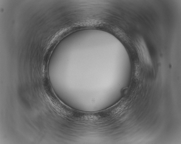 X0000054430636200508011358