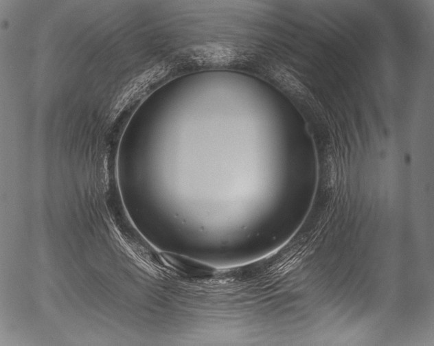 X0000054430638200508011358