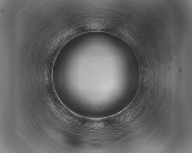 X0000054430639200508011358