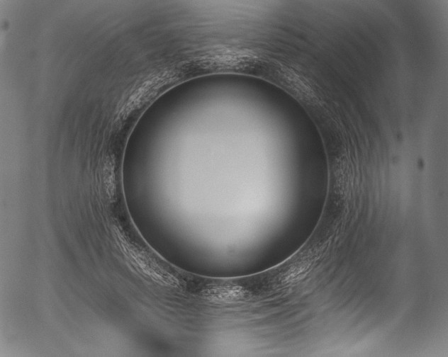 X0000054430642200508011358