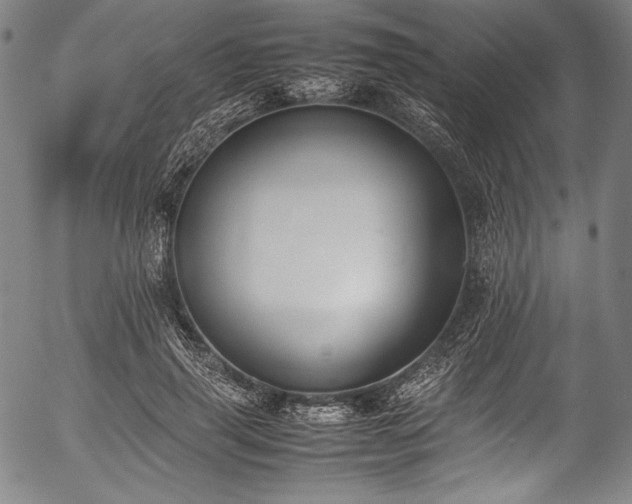 X0000054430645200508011358