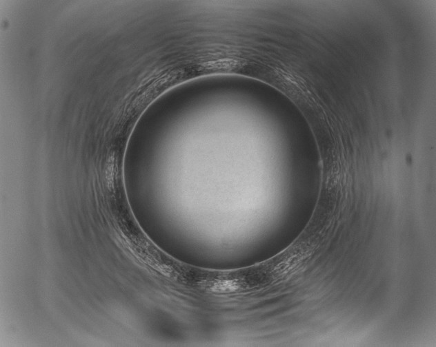 X0000054430647200508011358