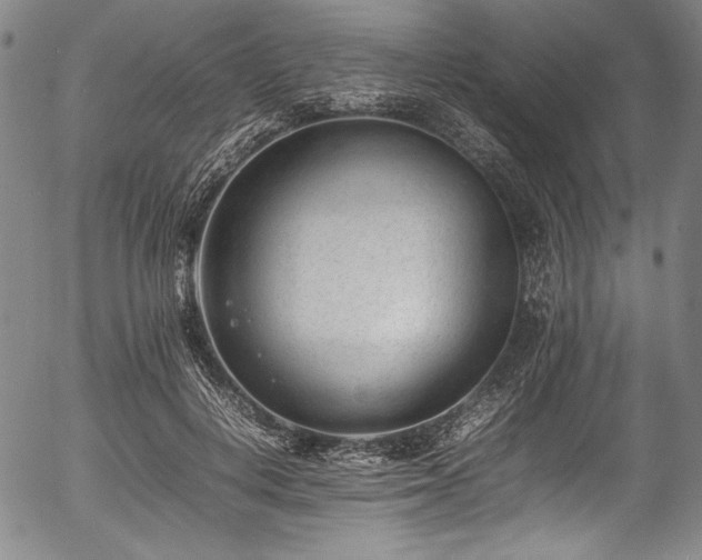 X0000054430648200508011359