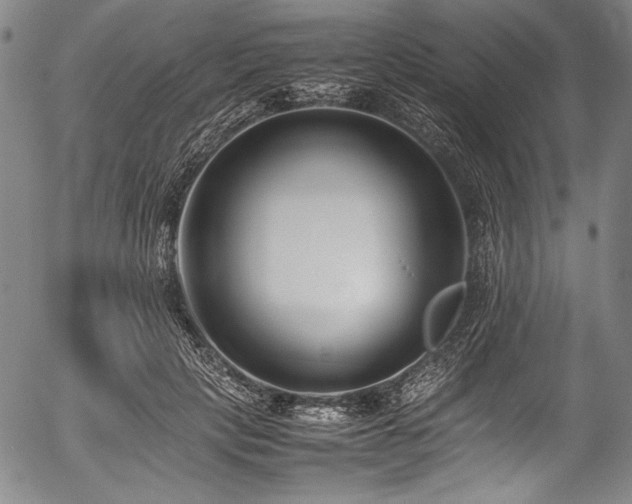 X0000054430649200508011359