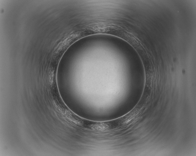 X0000054430652200508011359