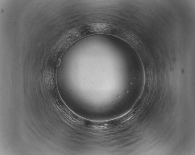 X0000054430653200508011359