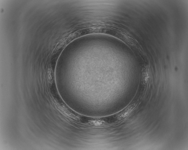 X0000054430654200508011359